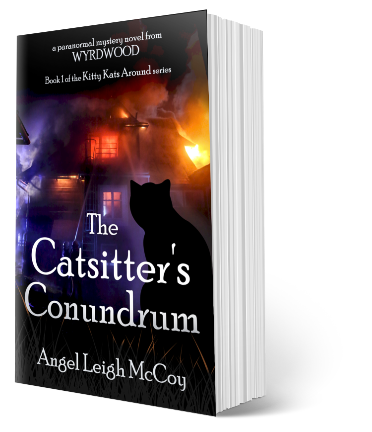 THE CATSITTER'S CONUNDRUM cover art - a paranormal mystery set in Wyrdwood